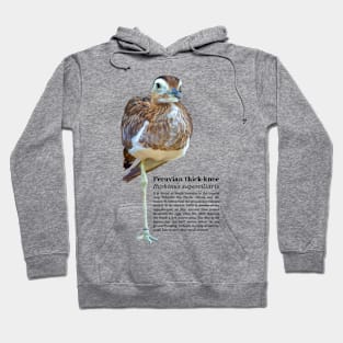 Peruvian thick-knee tropical bird black text Hoodie